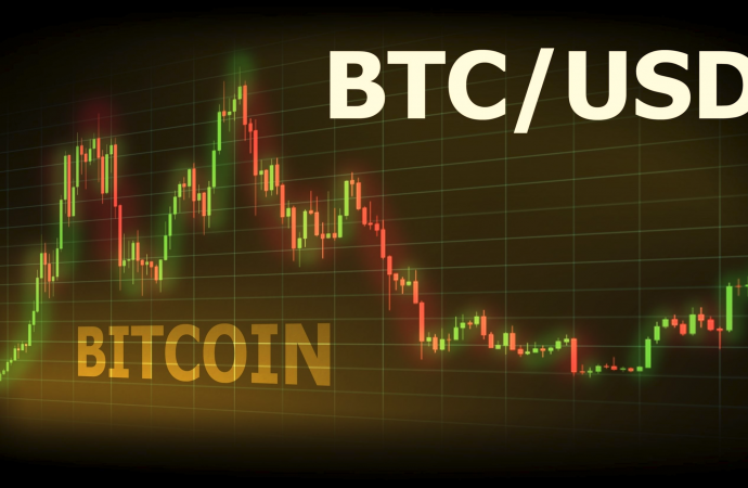 Bitcoin United States dollar: Guide for Trading, Analysis, and Future Perspective