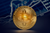 1 Bitcoin Price: Live Value, Market Trends, and BTC Influencers